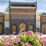 Activities in Fes | Experiences in Fes