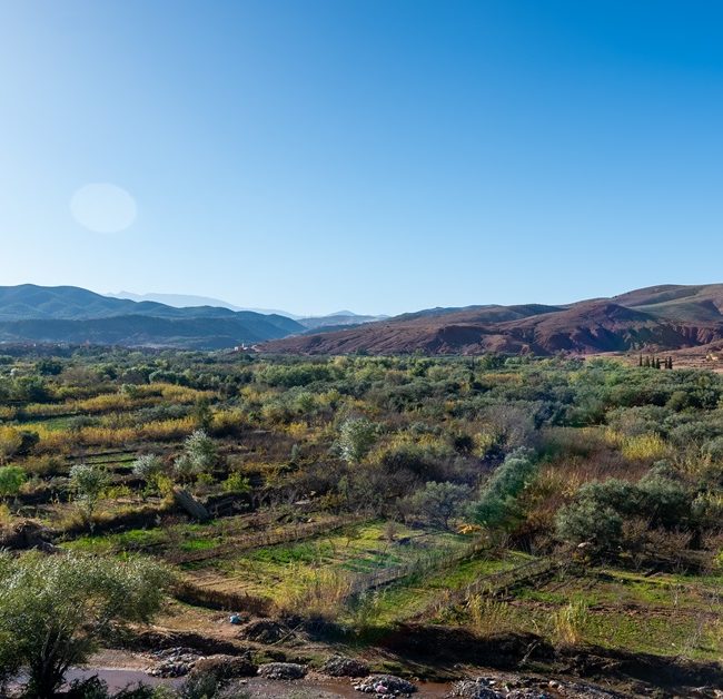 Morocco A Journey of Discovery and Life Lessons - Copy