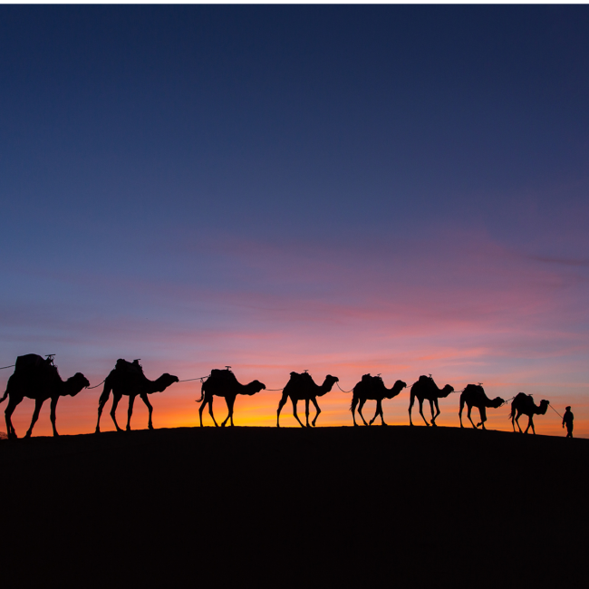 Essential Morocco Kasbahs and Palaces 14-Day Tour