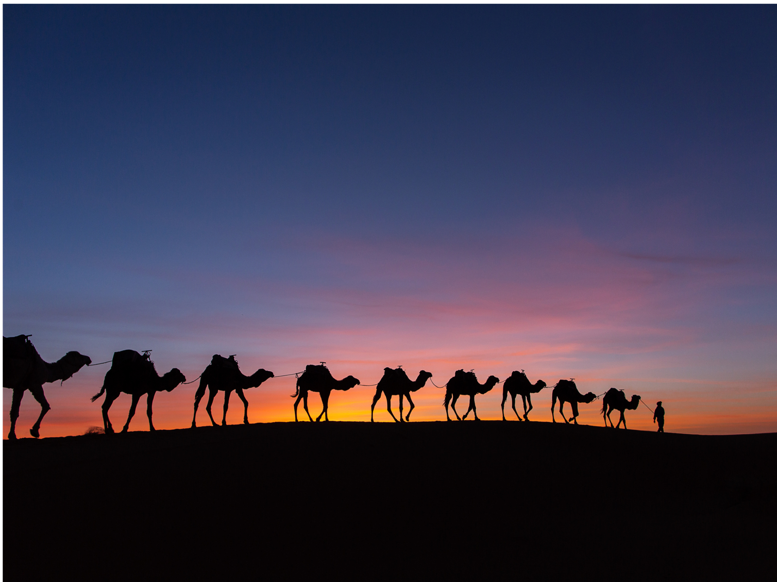 Essential Morocco Kasbahs and Palaces 14-Day Tour