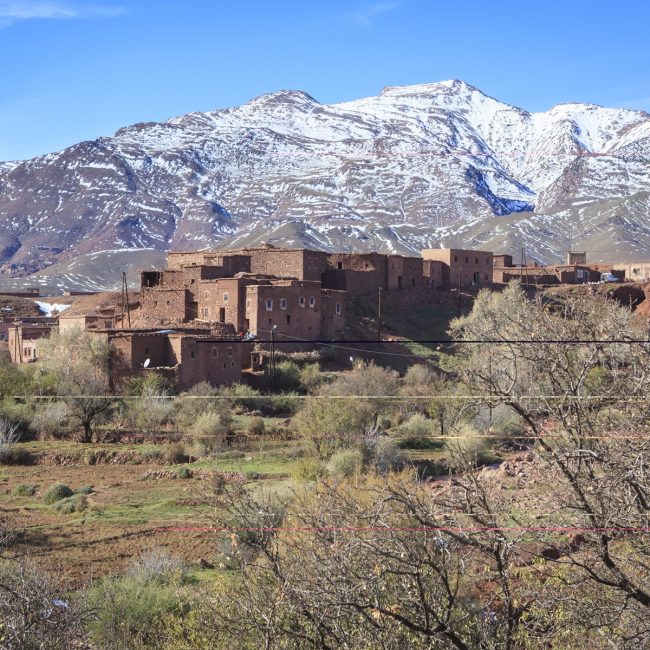 Wings over Morocco 15-Day Small-group Tour