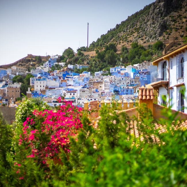 Majestic Morocco Tour