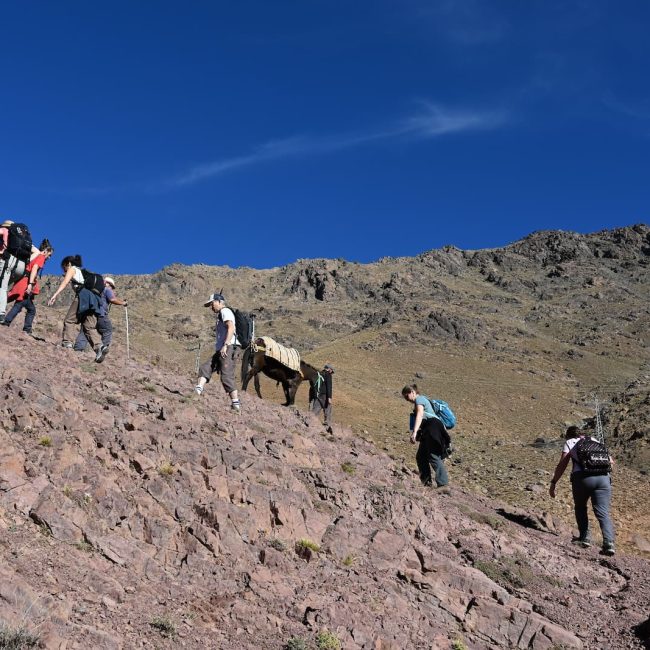 3 Days Mount Toubkal Ascent Trek