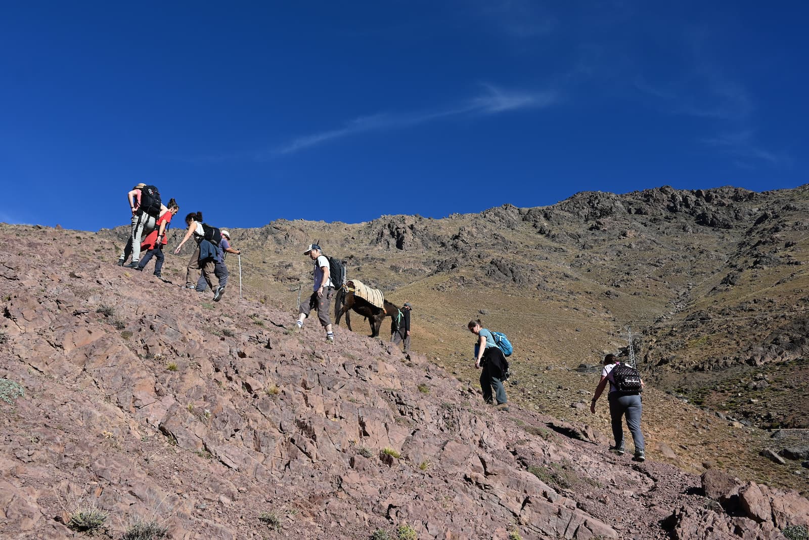 3 Days Mount Toubkal Ascent Trek